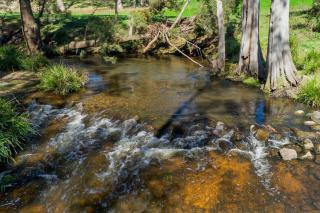 The Junction Canyonleigh. Idyllic Weekends - Canyonleigh - 7