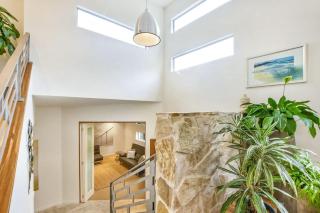 Rainforest Tranquility - Elizabeth Beach - 3