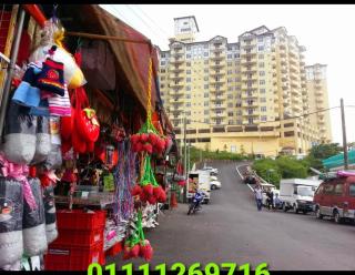 Crown imperial - Brinchang - 0