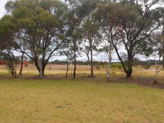 Drovers Retreat - Thulimbah - 3