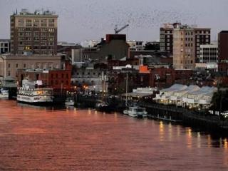 Water Street Retreats 03 - Wilmington - 0