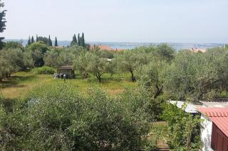 Apartma Iva - Piran - 6