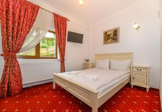 Panoramic Center Rooms - Braşov - 0