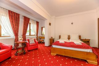 Panoramic Center Rooms - Braşov - 1