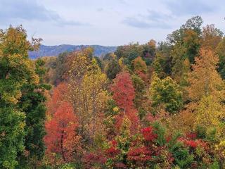 GREAT Little Guest Suite with Private Entry & Deck! Pet Friendly & 30 Mins to Nashville! - Ashland City - 6