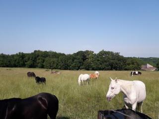 gîtes de Combelcau, le Pigeonnier - 7