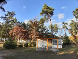 Ferienpark Seenland Betriebsgesellschaft mbH - Lychen - 9