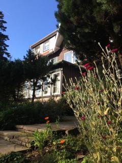 Ferien Suite Braunlage - Braunlage - 5