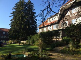 Ferien Suite Braunlage - Braunlage - 7