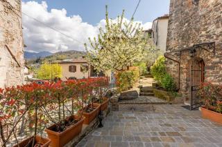 Villa Camelia Bianca - Barga - 8
