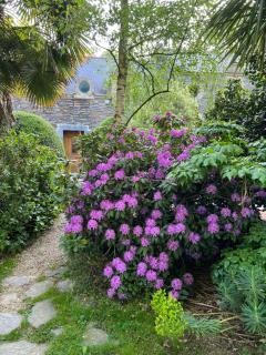 La Ferme de Roulotte de Sandrine - 7