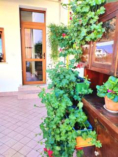Hotel Luisa - Brenzone sul Garda - 7