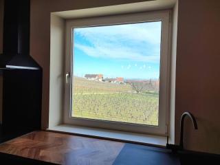 Vue splendide au coeur des vignes - 1