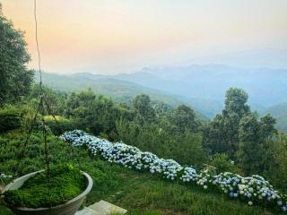 Hostie Casa Belle Vue - Private 3BHK Mountain Chalet with Breathtaking Himalayan views - 5