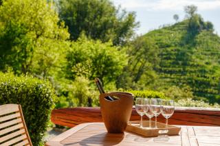 Le Vigne Panoramiche - - 2