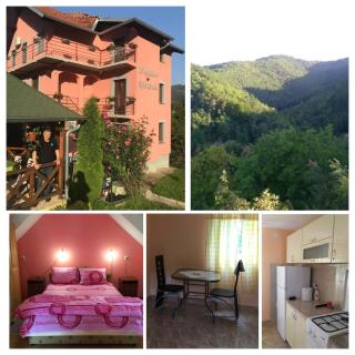 Sobe i Apartmani "Šumadija" Bogutovačka Banja - 4