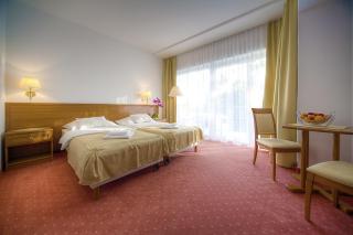 Két Korona Konferencia és Wellness Hotel - Balatonszárszó - 4