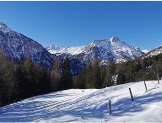 Almhütte Brandstätter - Marx - 2