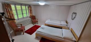 Cosy Traditional Swiss Chalet - Wengen - 1