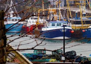 Harbour View - 1