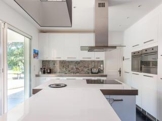 Villa in Vidauban near Sainte Maxime Beach - Vidauban - 1