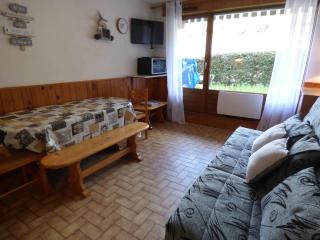 Appartement skis aux pieds, cosy 2 pièces, terrasse Sud/Est, 1er étage, idéal pour 4 personnes - FR-1-458-131 - 1