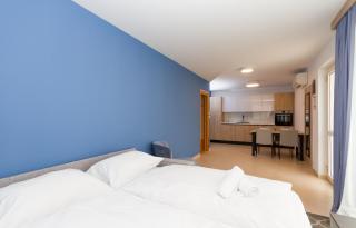 Garden Palace - Apartment Sembid with Terrace - Umag - 7