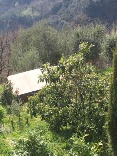 ROMANTIC GETAWAY AMAZING VIEWS - New large veranda - Coreglia Antelminelli - 2