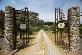 Resort La Ghiaia - Sarzana - 8