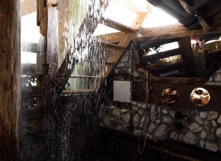 Naturerlebnis Suite - Nationalpark - 7