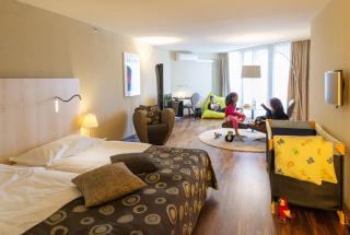 Swissôtel Kursaal Bern - Bern - 8