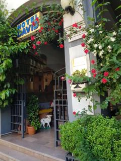 David Hotel - Ethno style - Tbilisi - 0
