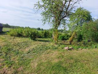 Marija - Krāslava - 5