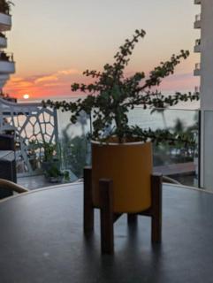 Ocean View Penthouse in P.V. Romantic Zone - Puerto Vallarta - 1