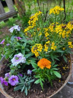 Vechtdal Beerze Buren - 7