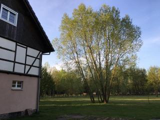 Spreewaldhaus Melcher - Burg - 2