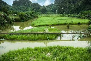Nham Village Resort - Ninh Binh - 3