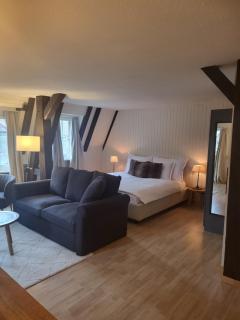 Stylish Apartment in the Heart of Zug by Airhome - Zug - 9