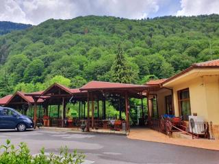 Family Hotel Gorski Kut - Rilski Manastir - 8