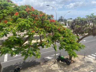 Santa Cruz de Tenerife Toscal, Free Parking - 3