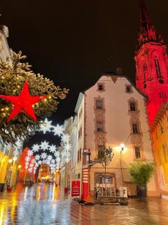 Gîte des Victoires - Mulhouse - 9
