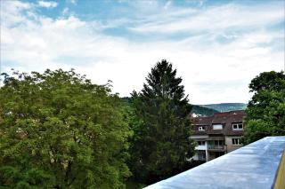 Heiligenbergblick - Heidelberg - 1