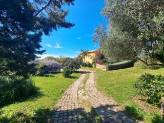 Rez de jardin villa Presqu'ile de Giens - Hyères - 3