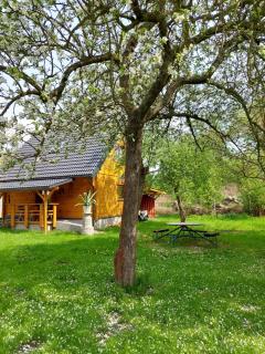 Domek Eva - Polanica Zdrój centrum - 7