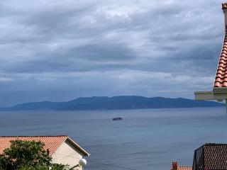 Deluxe Apartment Dora with a private parking, terrace and see view - Rijeka - 3