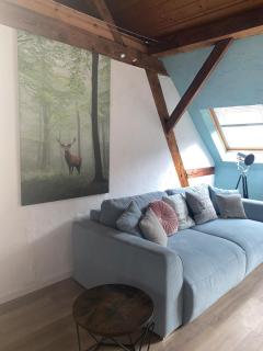 Ferienwohnungen Annweiler am Trifels - Annweiler am Trifels - 7