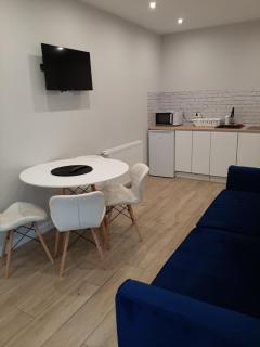 Central Platinum Apartments 24 - Rybnik - 9