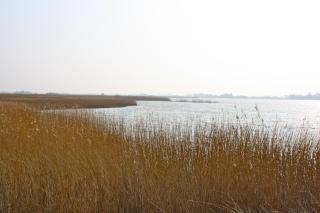Rudbøl Grænsekro - Rudbøl - 3