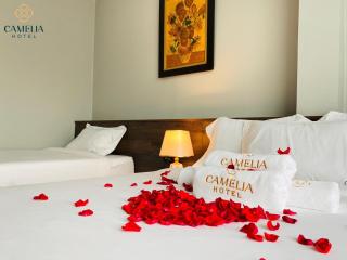 Camelia 108 Le Lai Hotel - Ho Chi Minh City - 4