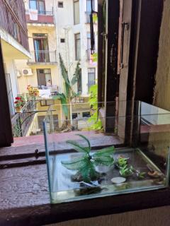 Apartment in Batumi - 1